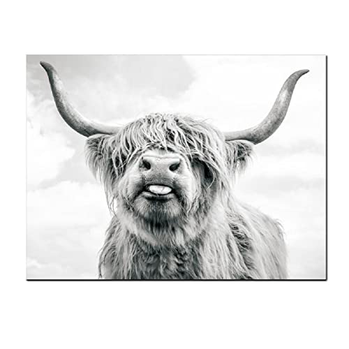 2 Pieces Highland Cow Canvas Posters Prints Black and White Longhorn Steer Animal Portrait Wall Art for Living Room Office Bedroom Decor (Unframed,16x20 inches)