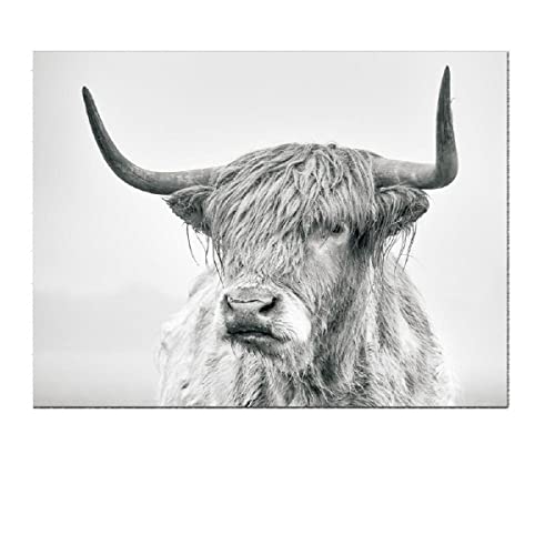 2 Pieces Highland Cow Canvas Posters Prints Black and White Longhorn Steer Animal Portrait Wall Art for Living Room Office Bedroom Decor (Unframed,16x20 inches)