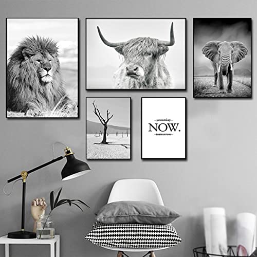 2 Pieces Highland Cow Canvas Posters Prints Black and White Longhorn Steer Animal Portrait Wall Art for Living Room Office Bedroom Decor (Unframed,16x20 inches)