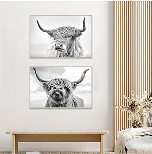 2 Pieces Highland Cow Canvas Posters Prints Black and White Longhorn Steer Animal Portrait Wall Art for Living Room Office Bedroom Decor (Unframed,16x20 inches)