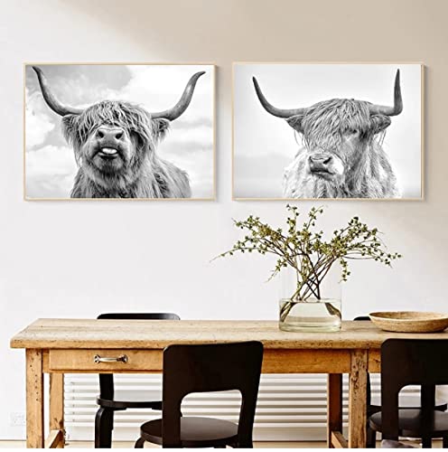 2 Pieces Highland Cow Canvas Posters Prints Black and White Longhorn Steer Animal Portrait Wall Art for Living Room Office Bedroom Decor (Unframed,16x20 inches)
