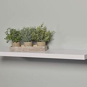 LTL Home Products WSAVLN1024WH Avalon Floating Wall Shelf Kit, 10" x 24" x 1.5", White