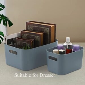 Hacaroa 3 Pack Plastic Storage Bins with Lids, Tote Organizing Container Stackable Storage Box with Handle Cabinet Organizer for Pantry, Bedroom, Cosmetics and Snacks, 2 Size, Dusty Blue