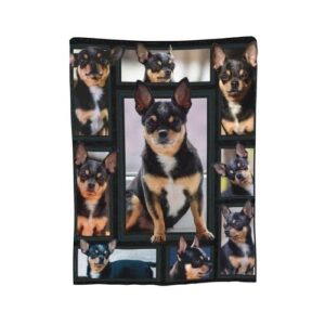 cute chihuahua dog black lovely puppy printed ultra-soft throw blanket home decorative blanket for living room bed sofa