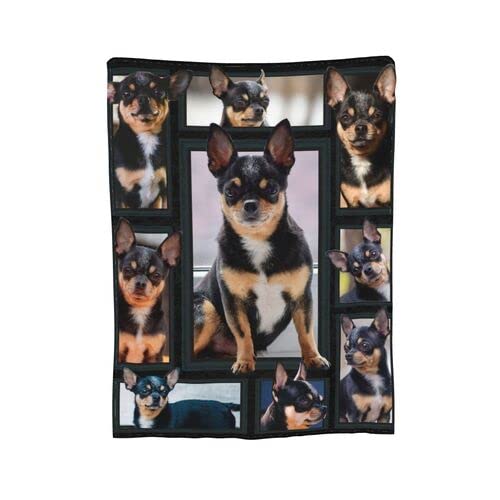 Cute Chihuahua Dog Black Lovely Puppy Printed Ultra-Soft Throw Blanket Home Decorative Blanket for Living Room Bed Sofa