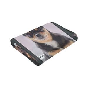 Cute Chihuahua Dog Black Lovely Puppy Printed Ultra-Soft Throw Blanket Home Decorative Blanket for Living Room Bed Sofa