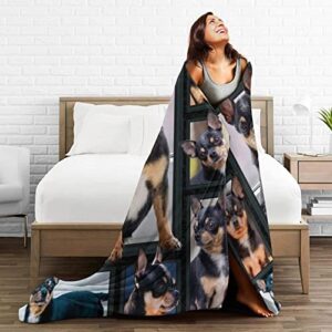 Cute Chihuahua Dog Black Lovely Puppy Printed Ultra-Soft Throw Blanket Home Decorative Blanket for Living Room Bed Sofa