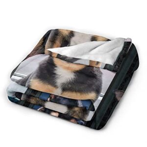 Cute Chihuahua Dog Black Lovely Puppy Printed Ultra-Soft Throw Blanket Home Decorative Blanket for Living Room Bed Sofa