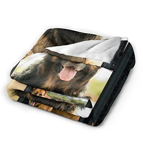 Smart Black Brown German Shepherd Dog Lovely Printed Ultra-Soft Throw Blanket Home Decorative Blanket for Living Room Bed Sofa