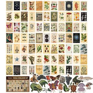 tramin 100 pcs vintage posters for room aesthetic, wall collage kit aesthetic pictures, cottagecore room decor for bedroom aesthetic, cute dorm photo wall decor for teen girls, botanical wall art…