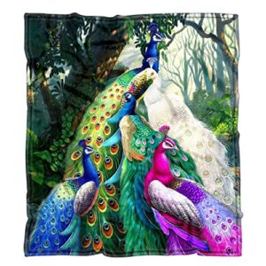 peacock blanket colorful peacock themed pattern print decor soft cozy throw blanket for kids women adults gift 60″x80″