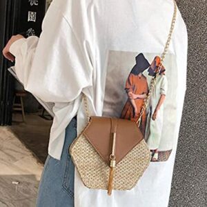 Crossbody Bags for Women Tassel Small Straw Beach Bag Satchel Bag Shoulder Bag Hobo Bags Purses Tote Handbag 2023