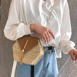 Crossbody Bags for Women Tassel Small Straw Beach Bag Satchel Bag Shoulder Bag Hobo Bags Purses Tote Handbag 2023