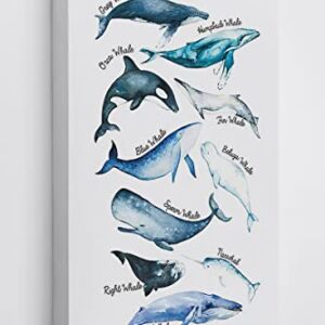 Sea Life Whale Educational Ocean Animal Chart Wall Art Canvas Farmhouse Whale Theme 11x14 Inch Prints Decor For Home Bedroom Living Room Classroom Library Dorm,Gift For Kids Students Classmates