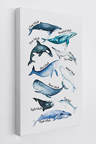 Sea Life Whale Educational Ocean Animal Chart Wall Art Canvas Farmhouse Whale Theme 11x14 Inch Prints Decor For Home Bedroom Living Room Classroom Library Dorm,Gift For Kids Students Classmates