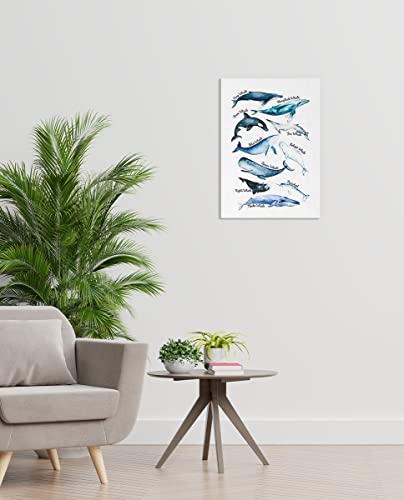 Sea Life Whale Educational Ocean Animal Chart Wall Art Canvas Farmhouse Whale Theme 11x14 Inch Prints Decor For Home Bedroom Living Room Classroom Library Dorm,Gift For Kids Students Classmates