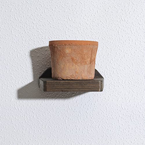 Freezing point Small Floating Shelves for Wall Set of 2 Natural Wood 5Inch Small Mini Wall Shelf Decor Plant Display Collectibles Mounted Kitchen Bathroom Bedroom Corner Decorative Storage Tiny Stand