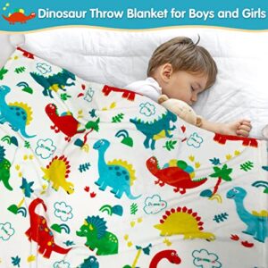 Andywoo Dinosaur Baby Blanket for Boys and Girls, Dinosaur Toddler Blanket, Warm Soft Fluffy Lightweight Fleece Blanket with Colorful and Cute Cartoon Dinosaur Design on Both Sides, 30x40 Inches