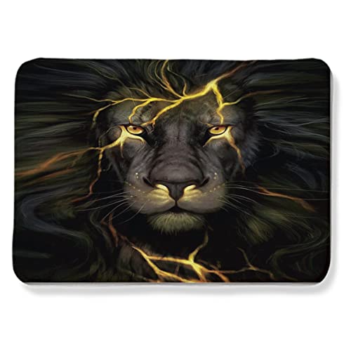 RUI＆TONG Black and Gold Lion Animal Theme Interior Doormat Front Area Rug, Absorbent Non Slip Entry Rug, 39x60inches( 100x150cm)