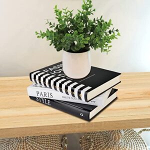 Fashion Decorative Book Stack,Set of 3 Hardcover Modern Decorative Books,Fashion Design Book Set for Coffee Table(FASHION/PARIS/STYLE)