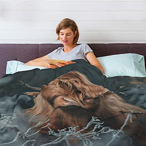 LEOPLESIC Ultra Soft Flannel Brown Cow Throw Blanket,Highland Cattle Landscape Rustic Farmhouse Cow Landscape Lightweight Cozy Sherpa Bed Blanket 50"x40"，(Gray, Brown)