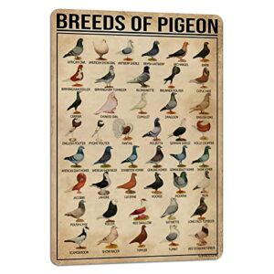 paiion breeds of pigeon metal signs pigeon education encyclopedia knowledge posters wall decor farm decor home decor vintage printinges 8×12 inch