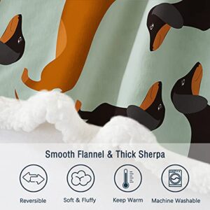 TOPTREE Dachshund Blanket for Dachshund Lovers Fleece Sherpa Dachshund Throw Blanket Print Plush Wiener Dog Blanket Gifts for Kids Teens Men Women Adults (Black and Brown, 60x50 Inches)