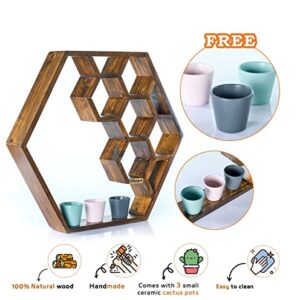 Luksyol Floating Wall Shelves Unique Design Bedroom Shelves, Honeycomb, Hexagon Shelf Wall Mounted, Kitchen Wall Shelves Handmade Wall Shelf for Bedroom from Natural Wood with 3 Cactus Pots