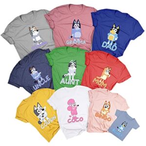 family shirts, personalized matching family shirt, custom family birthday shirts (multicoloured)