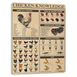 paiion chicken knowledge metal tin sign chicken breeds of the world infographics poster for club cafe bar home kitchen wall decorations 16×12 inch