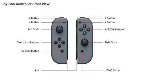 Nintendo Joy-Con (L/R) - Gray