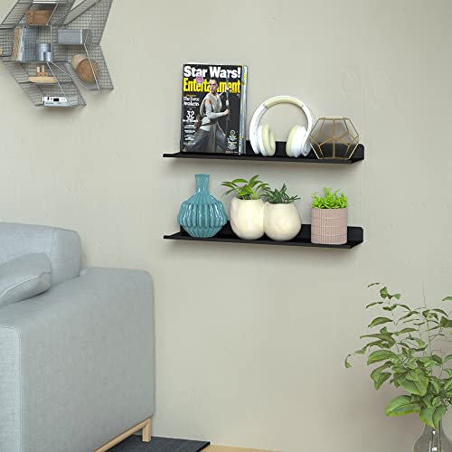 Benzoyl Black Floating Shelves, Home Decor Metal Wall Shelf Decorative Wall Mounted Picture Ledge Shelf for Storage Bedroom Bathroom Kitchen Living Room Office 16.14 inch - 2 Set