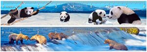 authentic collection 2-8″ 3d lenticular rulers – grizzly bears fishing and panda family