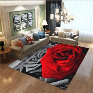 large farmhouse rug farmhouse decor ,romantic rose black white red painting abstract mat area rugs home decor non-slip crystal floor polyester mat 19.7×31.5inch, 19.7×31.5inch(50x80cm)
