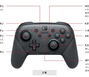 Nintendo Switch Pro Controller [Switch]