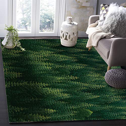 2'7''x 5' Forest Area Rug,Green Natrual Landscape Beautiful Tree Outdoor Indoor Washable Carpet Area+Rug for Living Room,Kids/Boys/Girls Bedroom,Bathroom,Classroom,Kitchen,Hallway,Throw Floor Mat