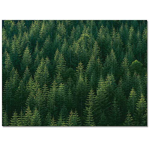 2'7''x 5' Forest Area Rug,Green Natrual Landscape Beautiful Tree Outdoor Indoor Washable Carpet Area+Rug for Living Room,Kids/Boys/Girls Bedroom,Bathroom,Classroom,Kitchen,Hallway,Throw Floor Mat