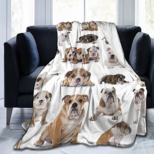 Aurary English Bulldogs Soft Throw Blanket for Kids and Adult Anime Ultra Cozy and Luxury Decorative Throw Blanket for Couch,Bed,Car and Sofa 60''x50'', Black (10826)