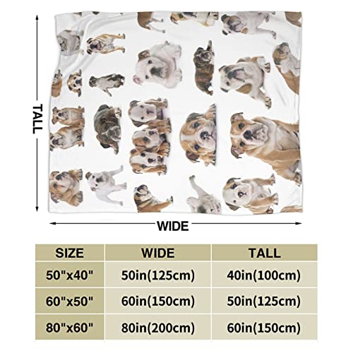 Aurary English Bulldogs Soft Throw Blanket for Kids and Adult Anime Ultra Cozy and Luxury Decorative Throw Blanket for Couch,Bed,Car and Sofa 60''x50'', Black (10826)