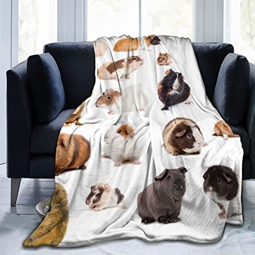 Guinea Pig Soft Throw Blanket for Kids and Adult Anime Ultra Cozy and Luxury Decorative Throw Blanket for Couch,Bed,Car and Sofa 60"x50"