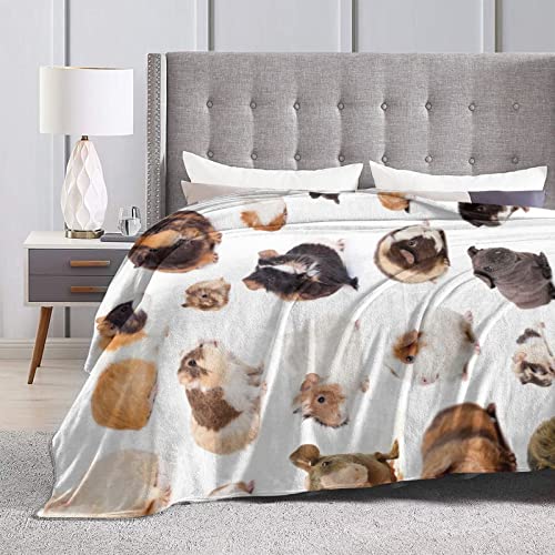 Guinea Pig Soft Throw Blanket for Kids and Adult Anime Ultra Cozy and Luxury Decorative Throw Blanket for Couch,Bed,Car and Sofa 60"x50"