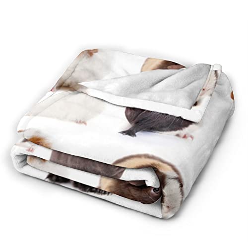 Guinea Pig Soft Throw Blanket for Kids and Adult Anime Ultra Cozy and Luxury Decorative Throw Blanket for Couch,Bed,Car and Sofa 60"x50"