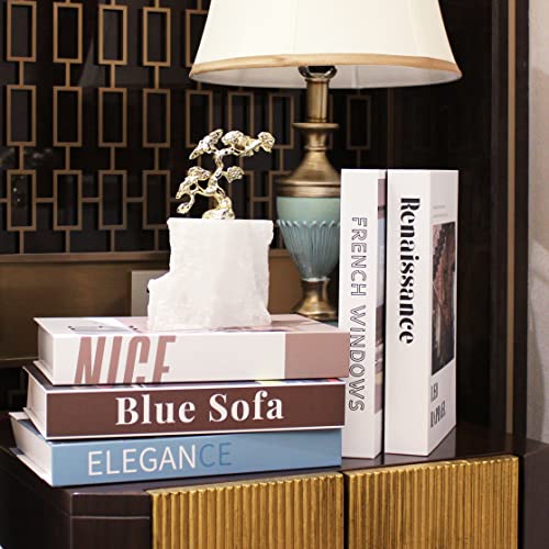 Faux Books for Decoration Decorative Books 5 Pack Coffee Table Books Decor Faux Books for Bookshelf Decorative Books for Home Decor– Fake Books for Home Bar Table Book Decor