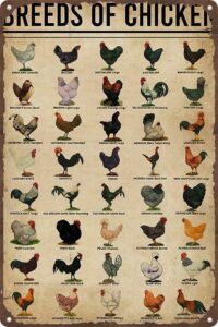 breeds of chickens tin sign,vintage chickens art,chicken knowledge metal tin sign breeds of chicken retro poster school farm cafe bar bedroom bathroom kitchen home art wall decoration 8x12inch