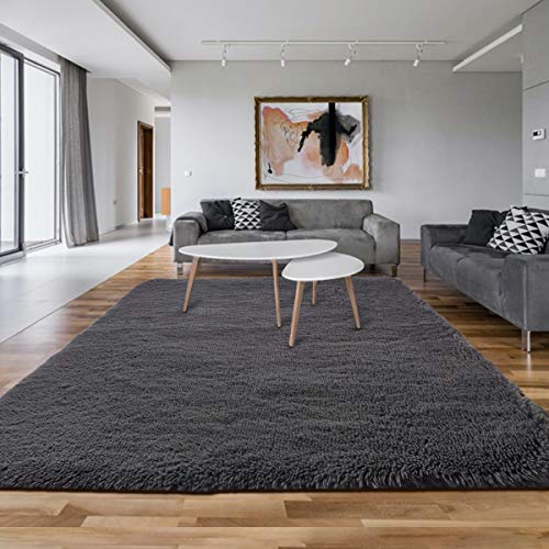 Asvin 5x7 Area Rug, Fluffy Living Room Area Rug, Luxury Large Area Rug, Non-Skid Fleece Carpets for Bedroom Home Décor, Soft Plush Furry Rug for Kids Room, Washable Floor Rug (5x7 Feet, Grey)