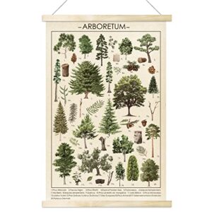 tevxj vintage tree poster plant wall art prints rustic style of arboretum wall hanging illustrative reference chart poster for living room office classroom bedroom playroom dining room decor frame
