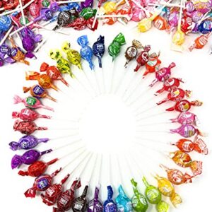 Charms and Tootsie Mini Pops 36 Flavor Mix Lollipop Suckers 3 Lbs Assorted Variety Bulk Value Pack 200+ Count In Resealable Stand Up Bag (48 Oz)