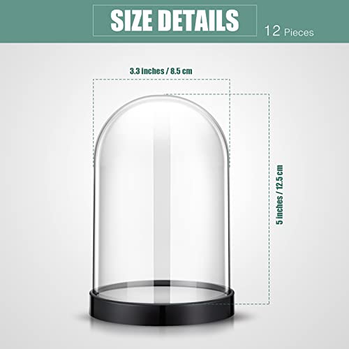 Zhengmy 12 Pcs Plastic Dome Display Case Cloche Bell Jar with Base Clear Decor for Collectibles Rose Office Home Tabletop CenterPc Decor, 5 x 3.3 Inch, Black