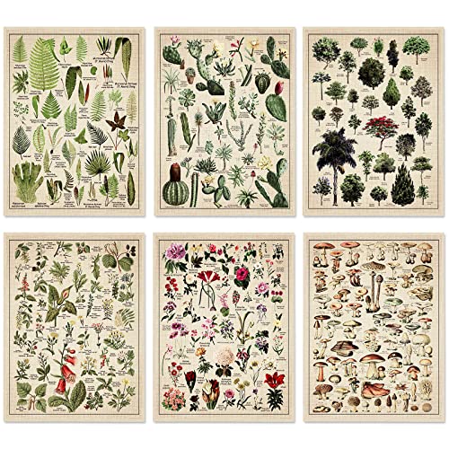 Set of 6 Plant Poster Vintage Botanical Prints 12 x 16 Inch Decorative Wrap Poster Tree Wall Art Picture Vintage Mushroom Decor Floral Nature Poster for Wall Cactus Posters Prints