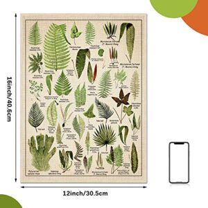 Set of 6 Plant Poster Vintage Botanical Prints 12 x 16 Inch Decorative Wrap Poster Tree Wall Art Picture Vintage Mushroom Decor Floral Nature Poster for Wall Cactus Posters Prints